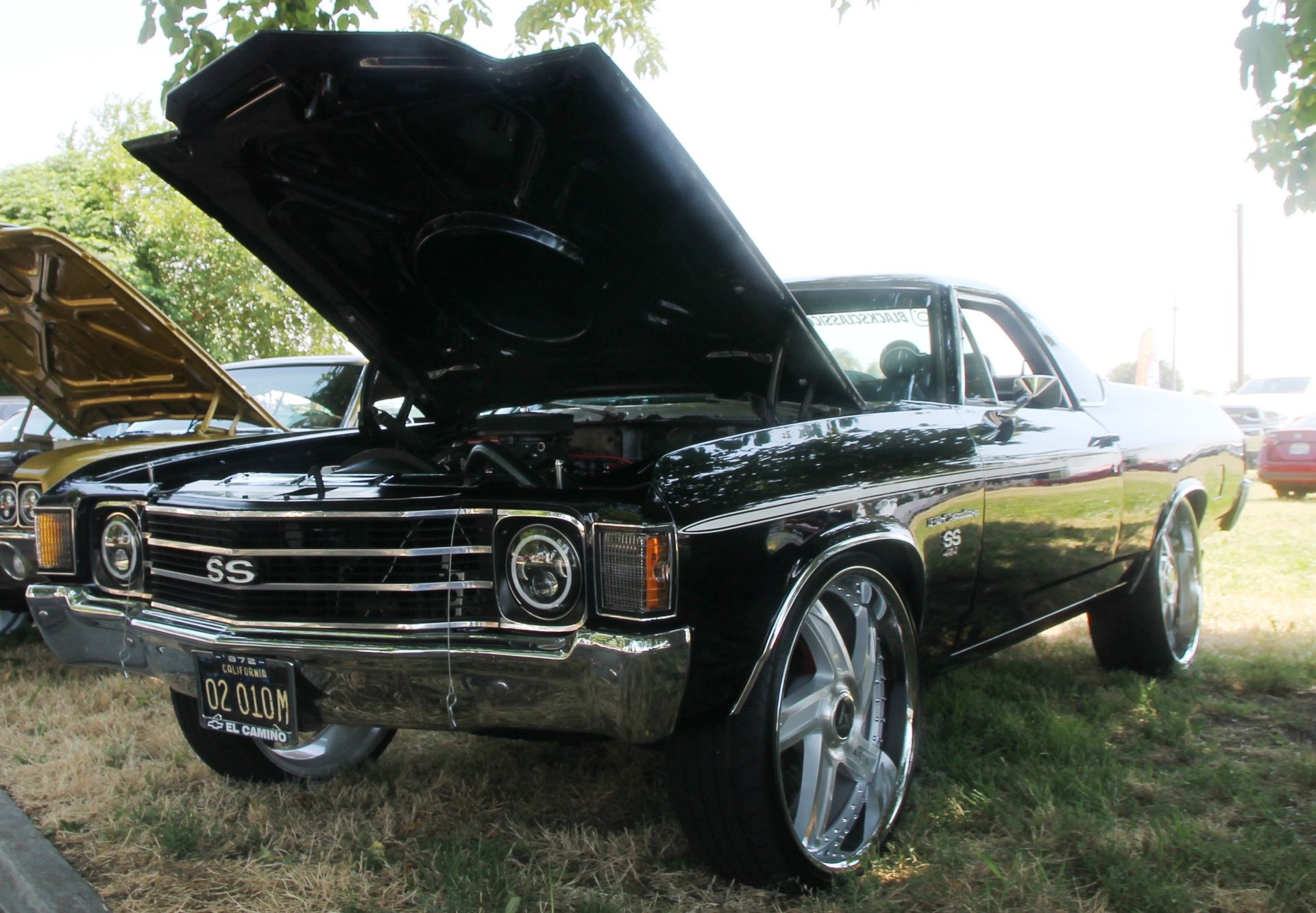 Full View