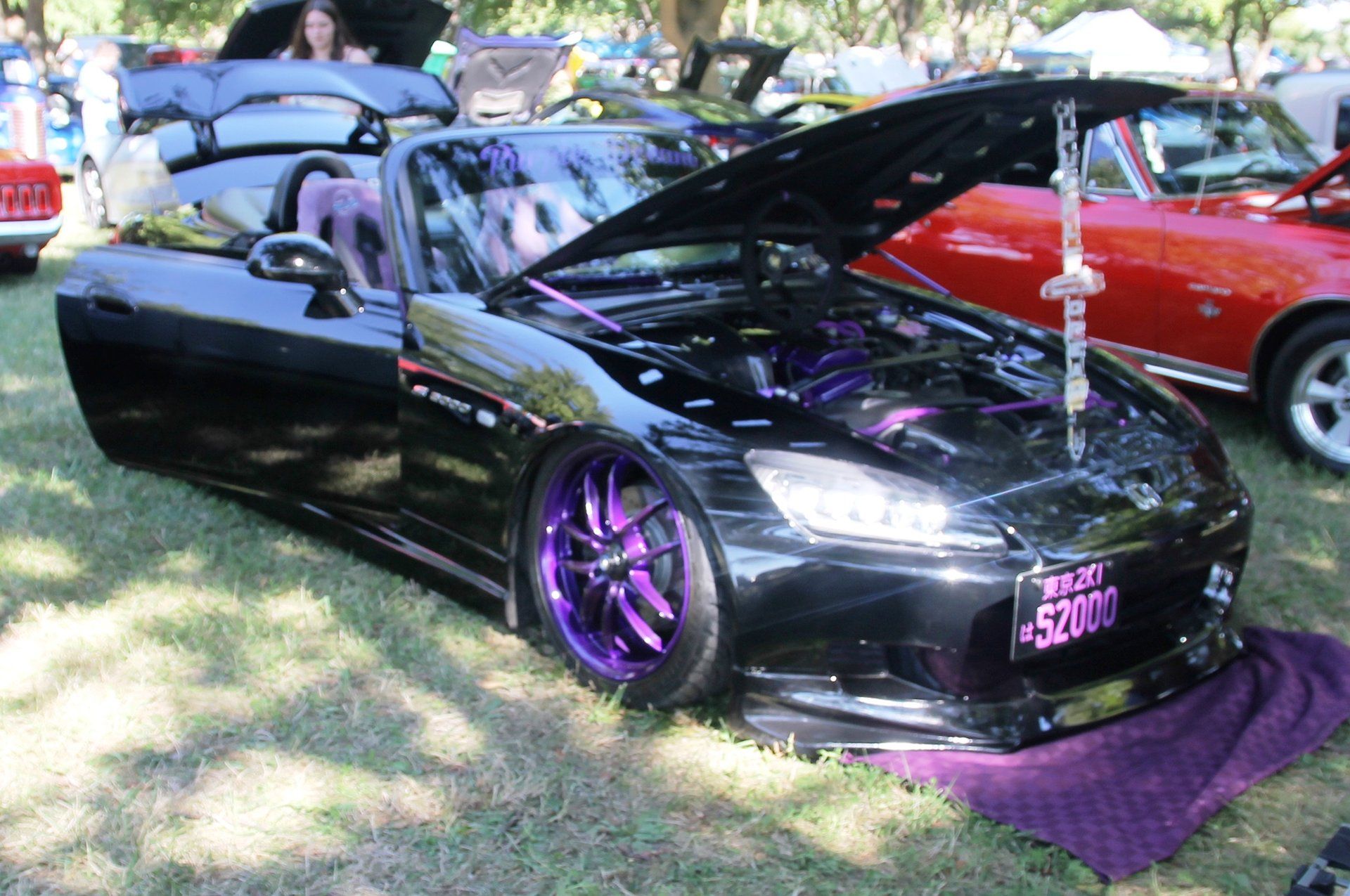 Full View