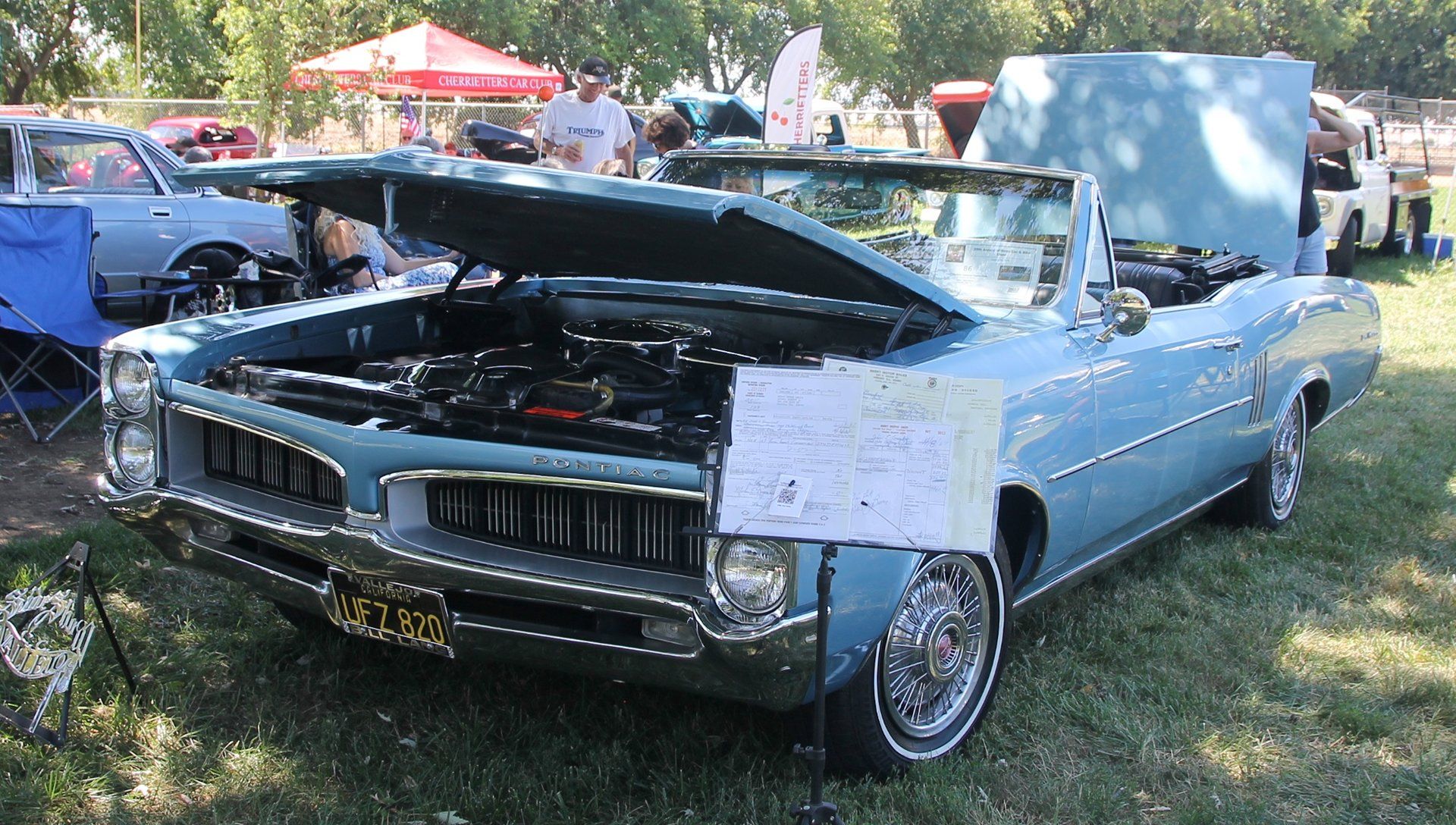 Full View