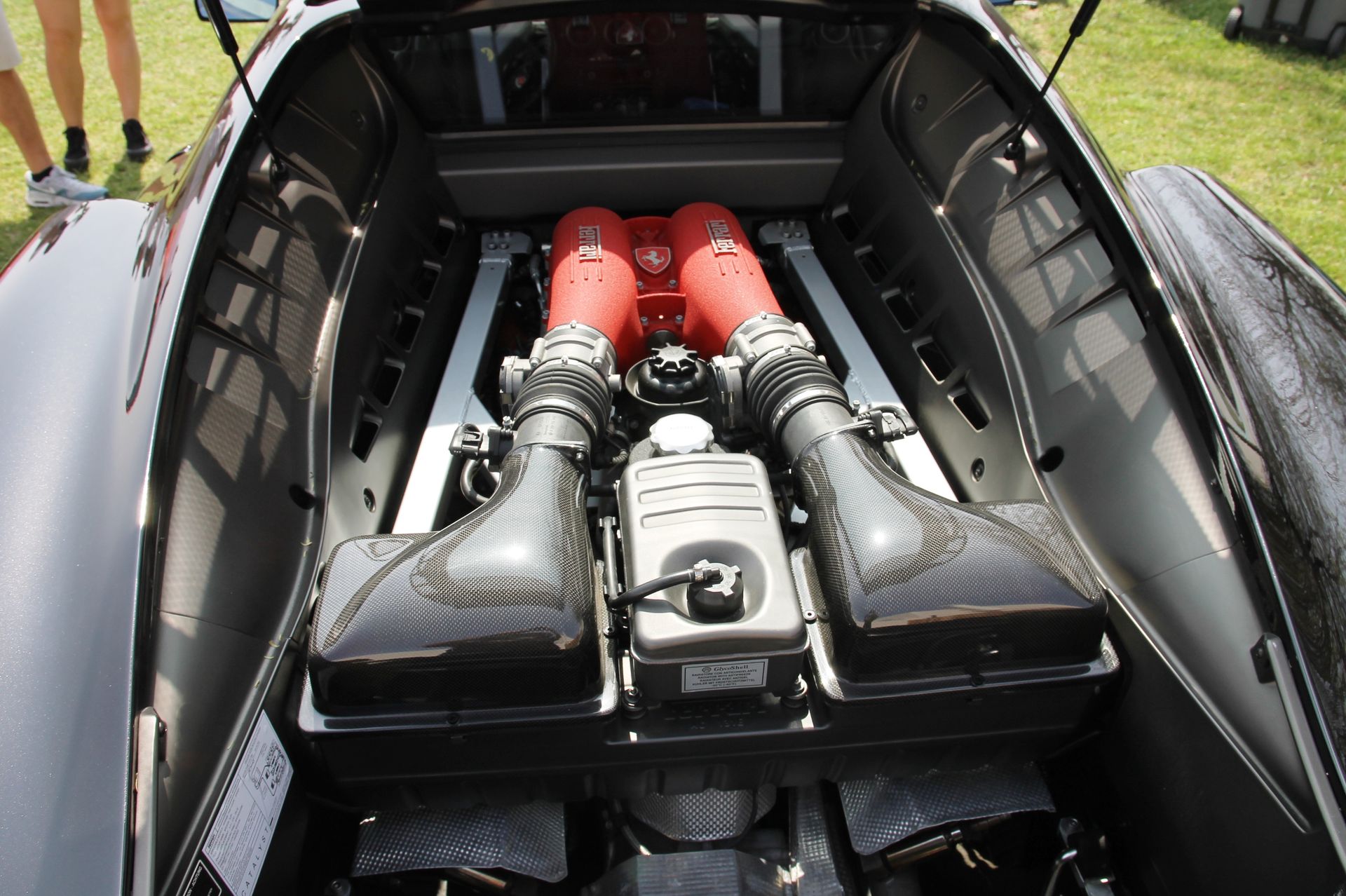 Full View