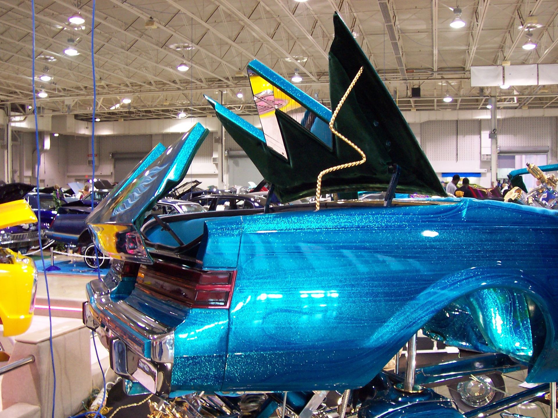 Full View