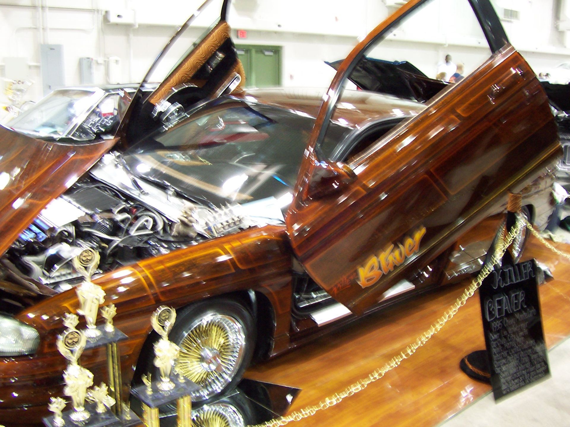 Full View