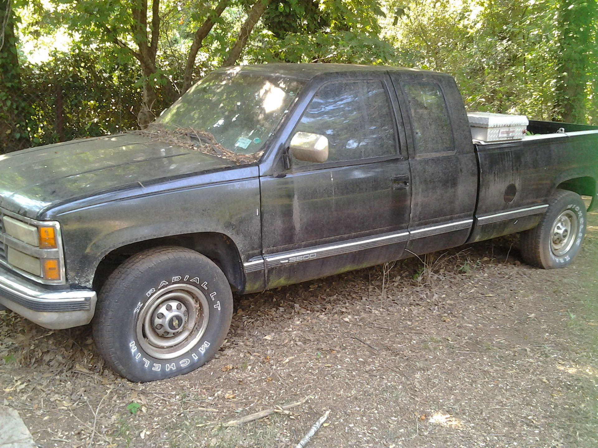 Full View