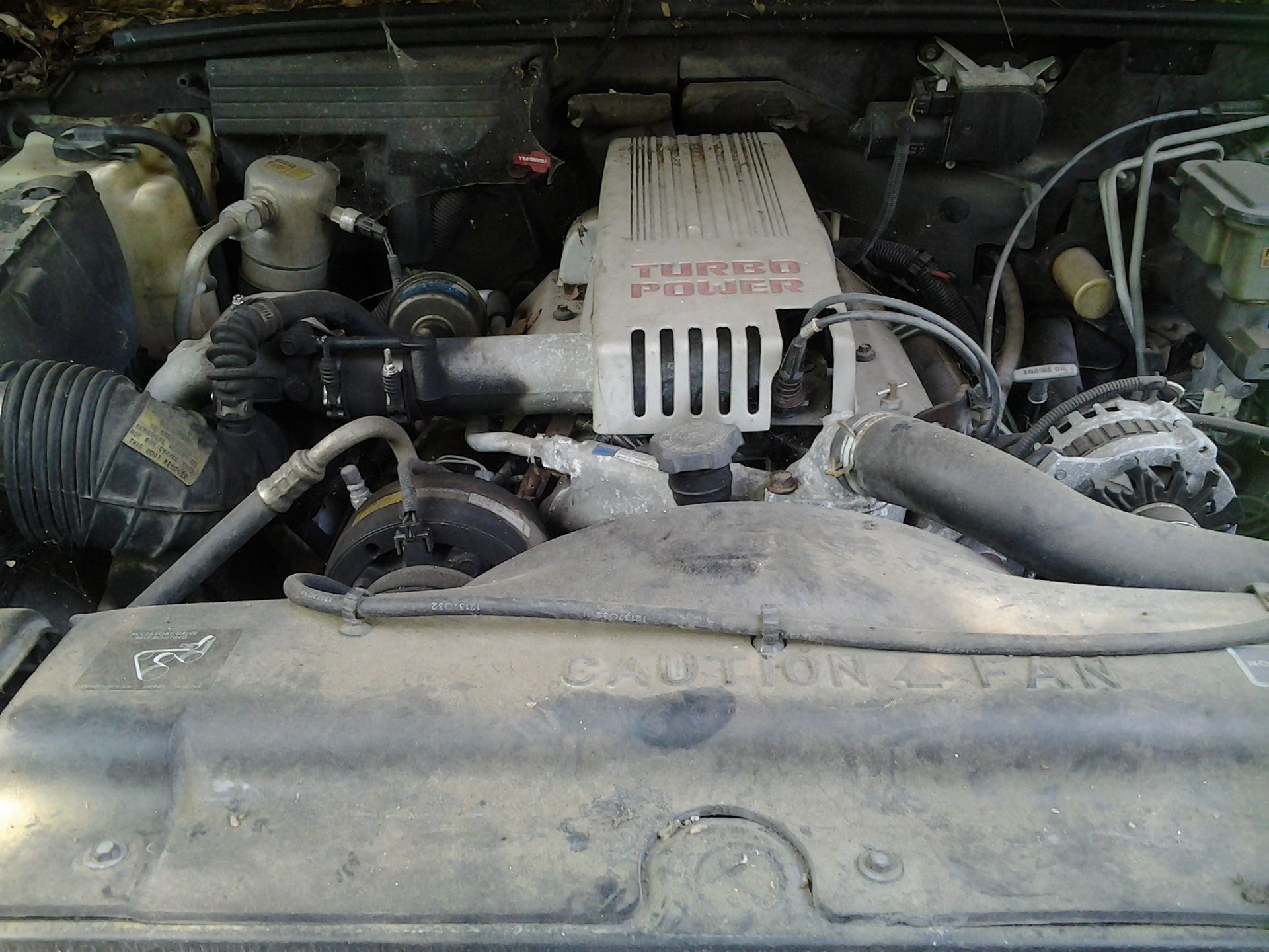Full View