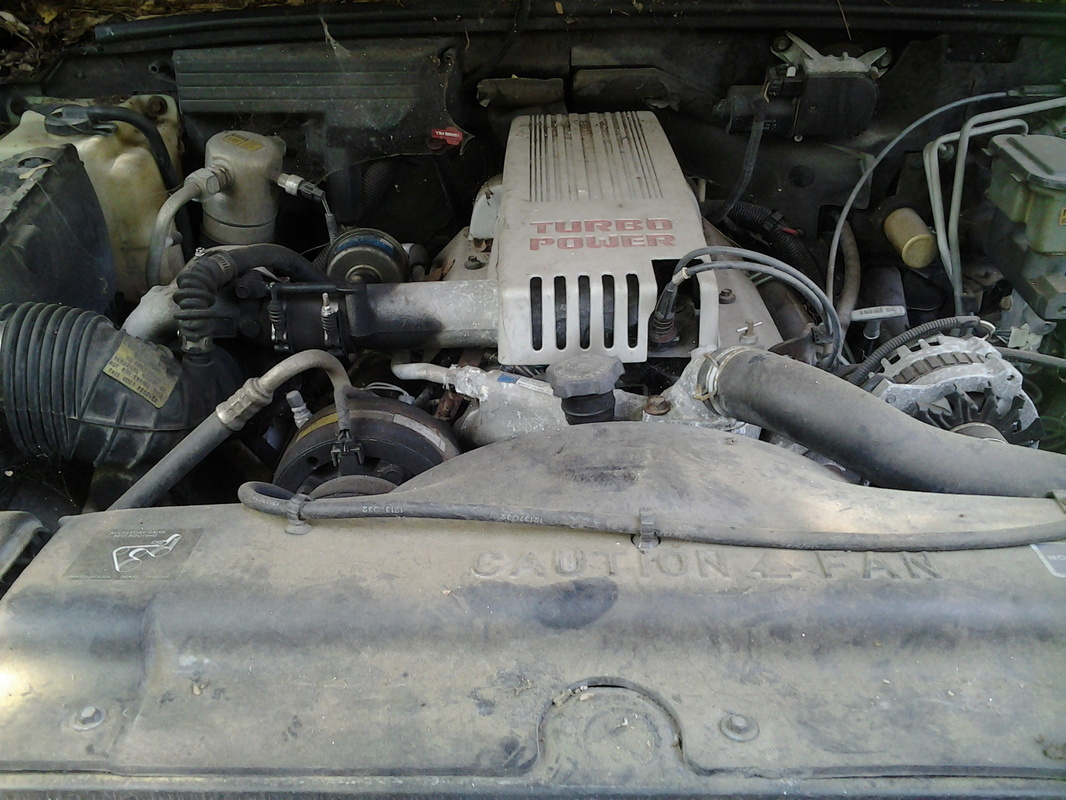 Full View