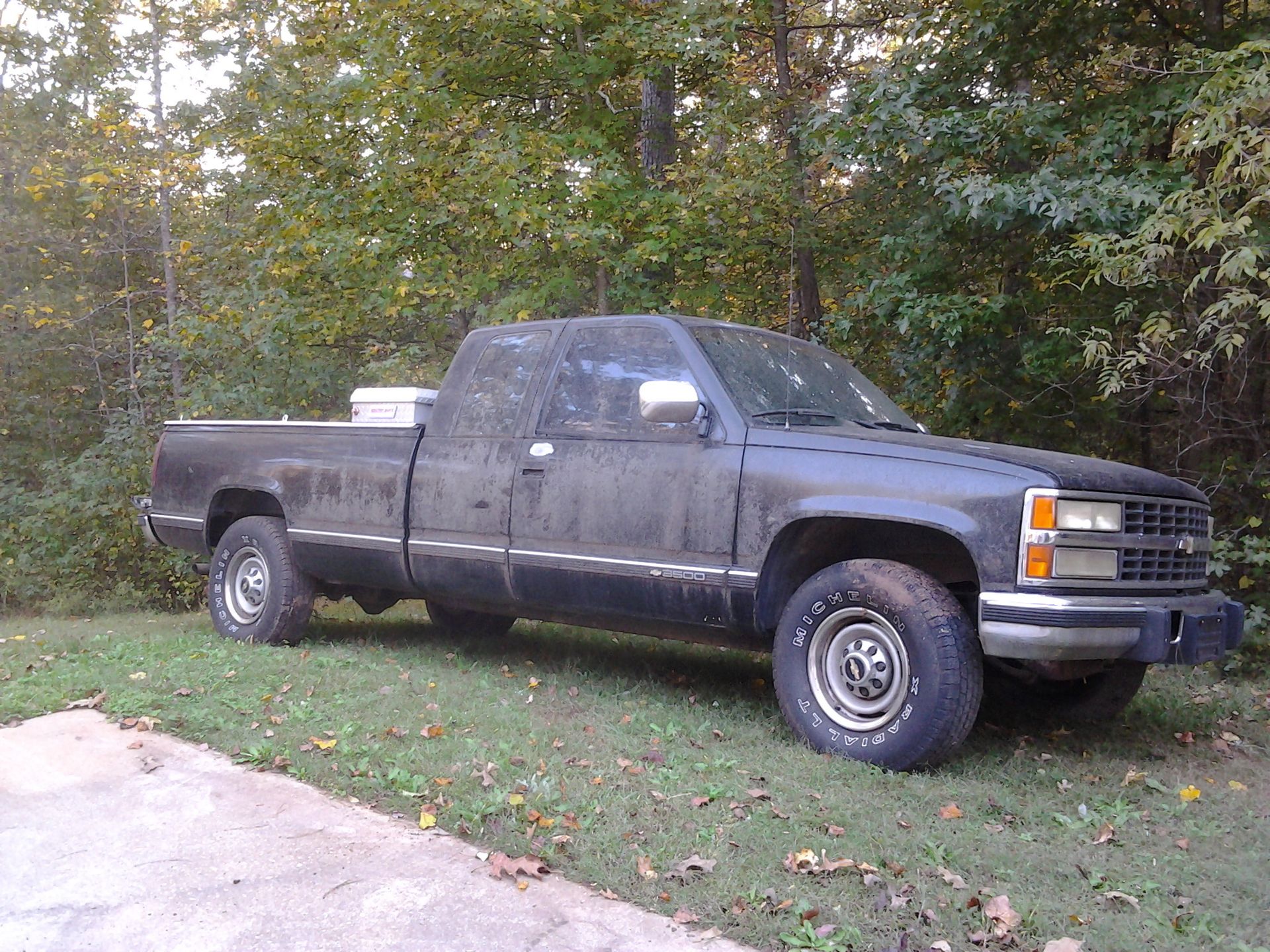 Full View