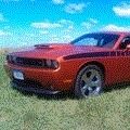 linnfahrenkrug@iailti.com's avatar