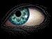 wabbitk351@yahoo.com's avatar