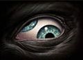 adam.h26@comcast.net's avatar