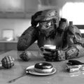 budget_drifter@yahoo.com's avatar