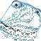 taylor_ash_45@hotmail.com's avatar