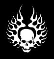 zanzer1@yahoo.com's avatar