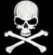 cjsilvey@gmail.com's avatar