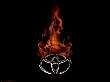 Tacon19s avatar