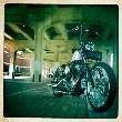 rooster52478 avatar