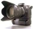 sdm5008 avatar