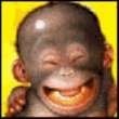 davy_boy1972's avatar