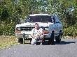 jmorton84 avatar